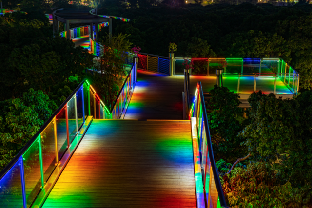 Shenzhen Xiangmi Park Road Night View